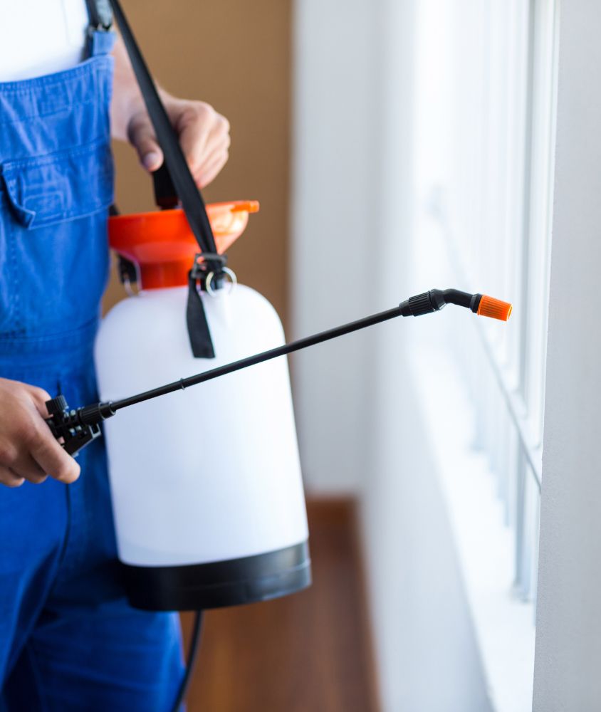 dedetizador em Maringá